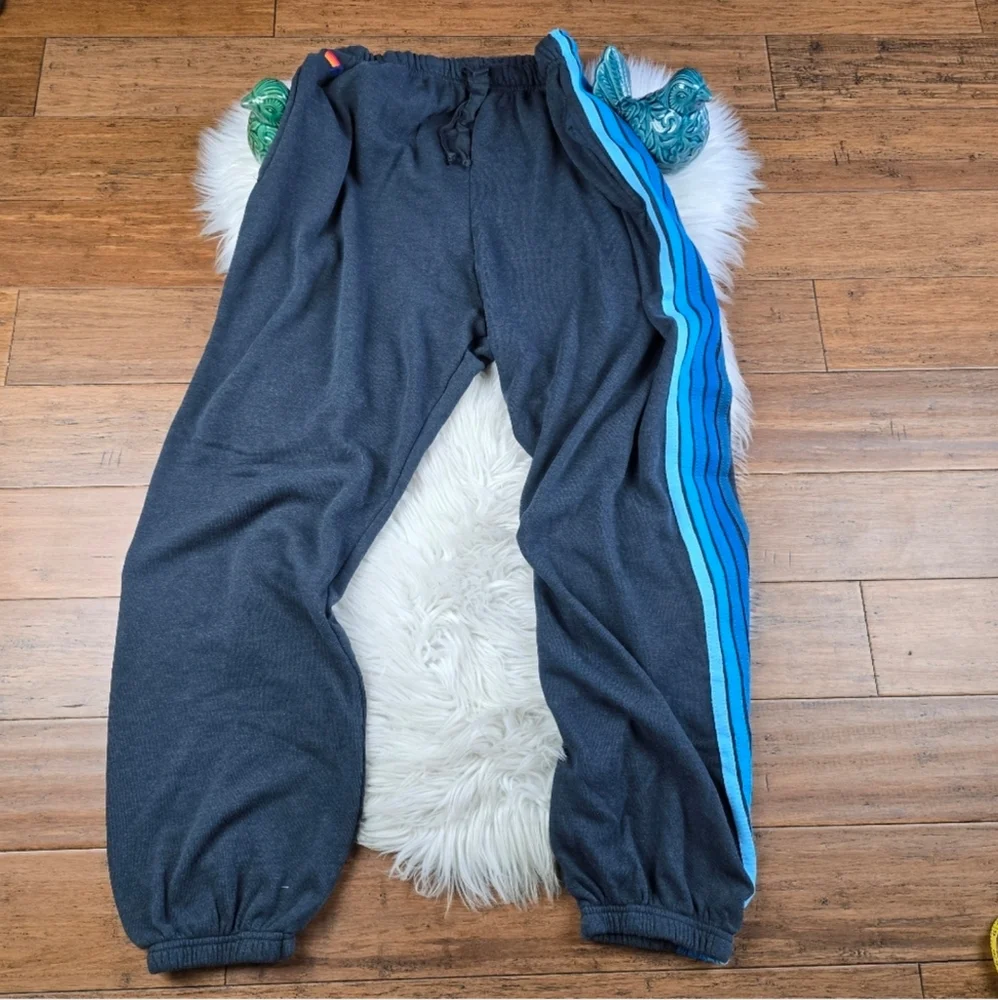 Aviator Nation 5 Stripe Jogger Mens Sweatpants XXL